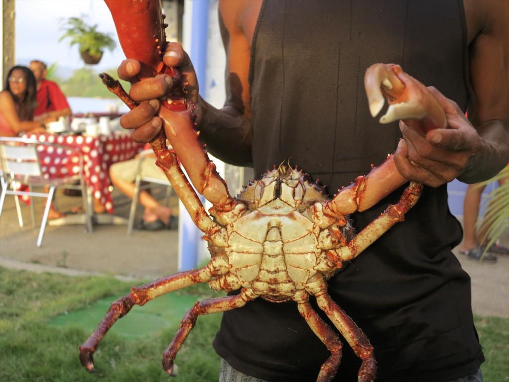 Casa Congo & Casa Rayo Verde - Restaurante - Galeria De Arte ปอร์โตเบโล ภายนอก รูปภาพ